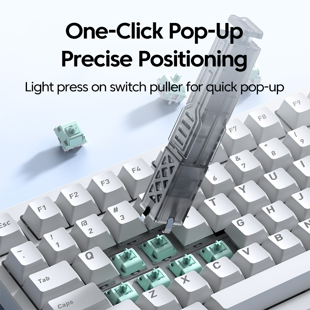 view